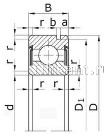 П 10х23х11 2RS.N импорт FBJ (B10-46D)