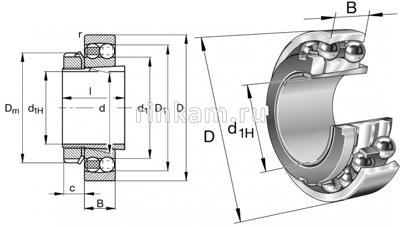 11609 импорт SKF (2310K+H2310)