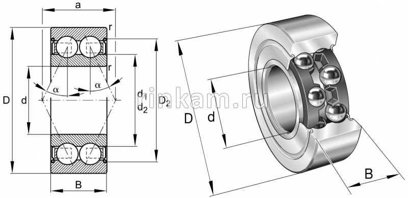 3056204 Е.ZZ импорт SKF (3204.A.2Z.TN9.MT33) (фир.SKF)