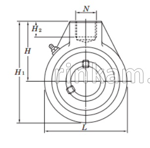 UCHA 205